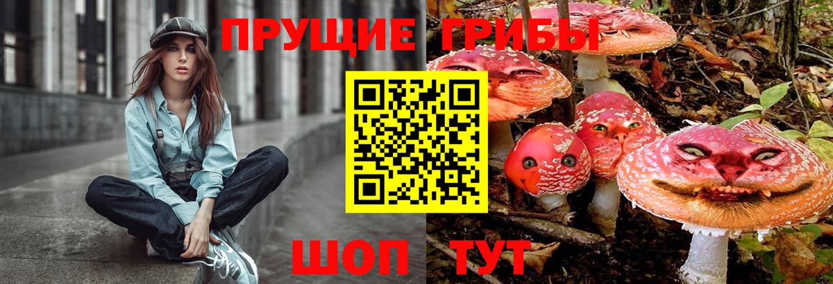 Псилоцибиновые грибы мицелий Михайловка